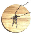 Collares acero Plateado