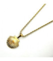 Collares acero dorado 2610100004726