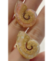Anillos Sortijas acero Dorado 2880100000043