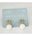 Pendientes acero 2700100015482